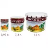 Kupit_v_Sterlitamak_Zashchitnyy_sostav_dlya_dereva_BELYY_(3,3l)_